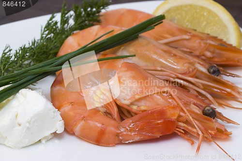 Image of shrimps