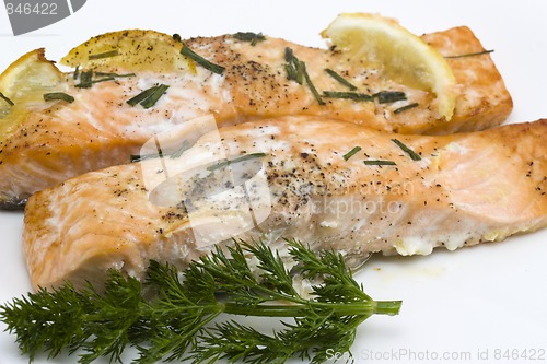 Image of salmon