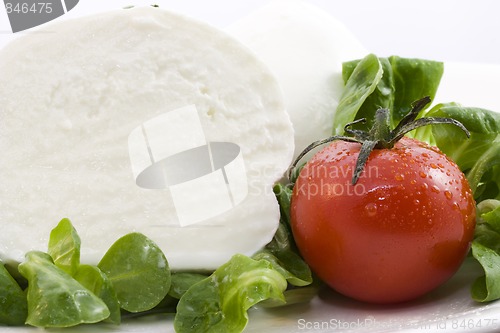 Image of mozzarella bufala and salad