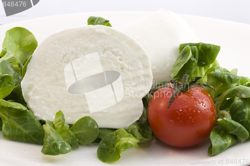 Image of mozzarella bufala and salad