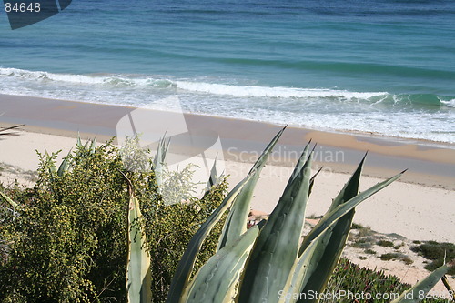 Image of the Mediterranean