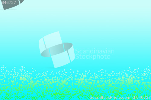 Image of Coral