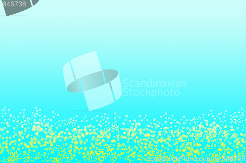 Image of Coral