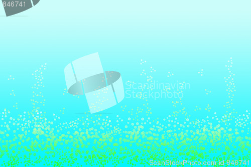 Image of Coral