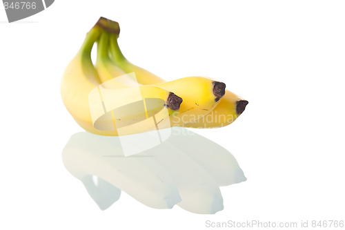 Image of Bananas