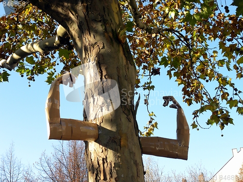 Image of Strongly like a tree