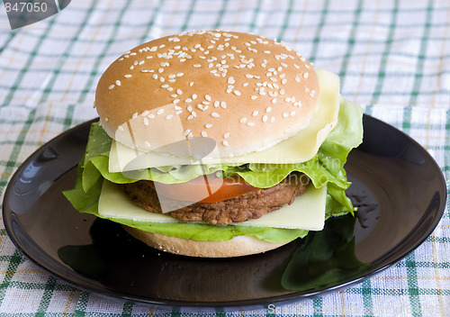 Image of cheeseburger1