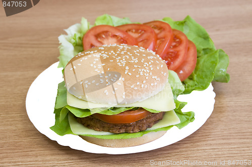 Image of cheeseburger3