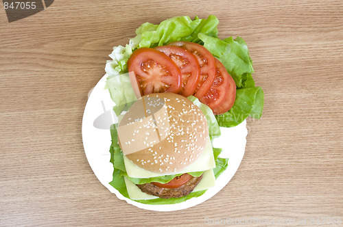 Image of cheeseburger4