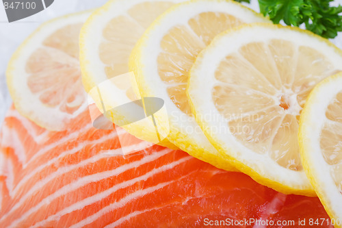 Image of Salmon On Ice