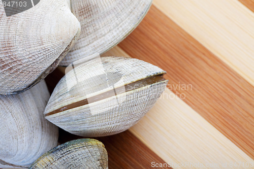 Image of Live Clams 