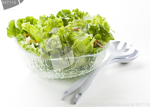 Image of Salad