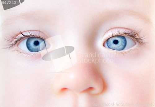 Image of Baby eyes