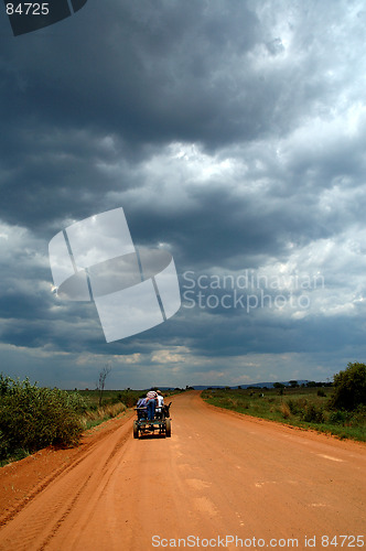 Image of Donkey cart