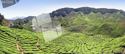 Image of Panoramic farm