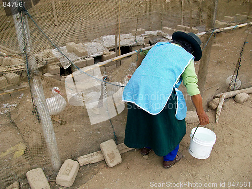 Image of Woman works with Animals