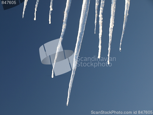Image of Nature of winter.