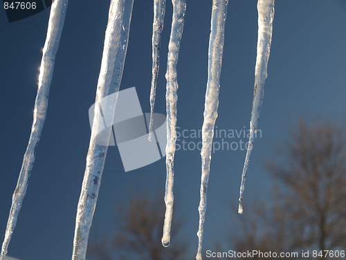 Image of Nature of winter.