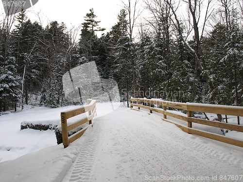 Image of Nature of winter.