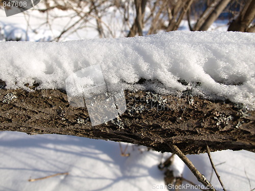 Image of Nature of winter.