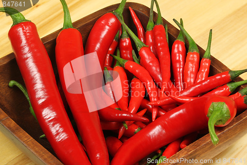 Image of Chili peppers