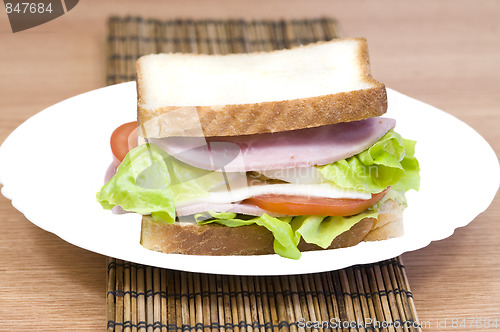 Image of tasty sandwich