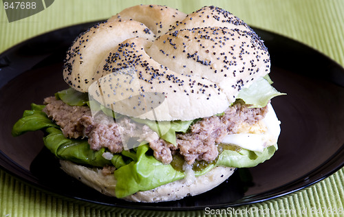 Image of tuna sandwich