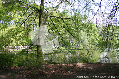 Image of woodlake