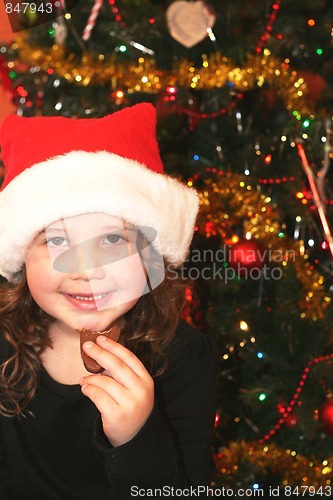 Image of Happy little girl at Christmas