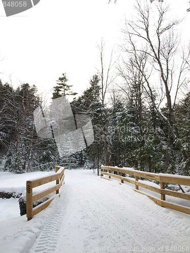 Image of Nature of winter.