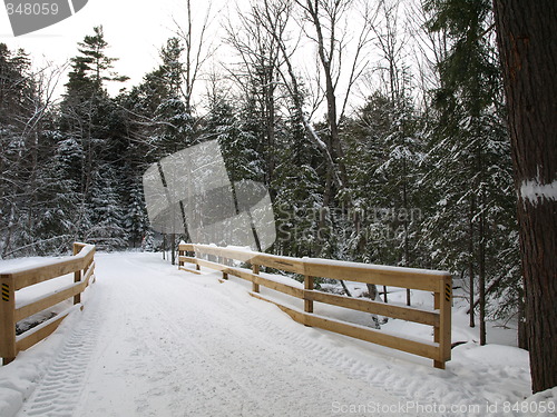 Image of Nature of winter.