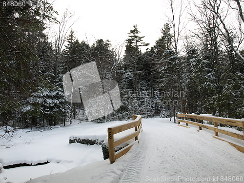 Image of Nature of winter.