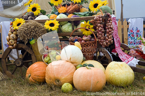 Image of Harvest