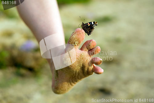 Image of Walking with butterfly