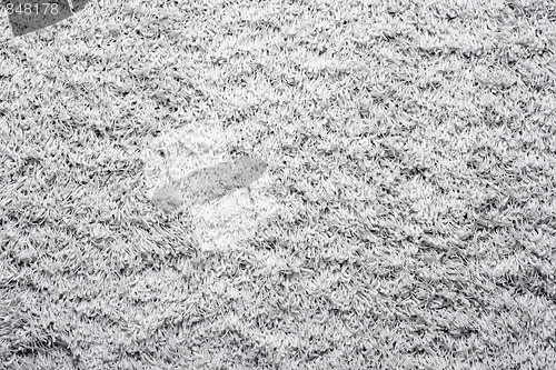 Image of Carpet texture