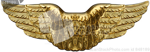 Image of Symbolic Golden Wings