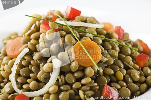 Image of Lentil