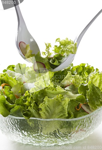 Image of Salad