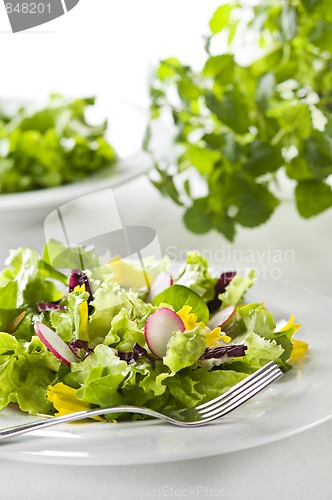 Image of Salad