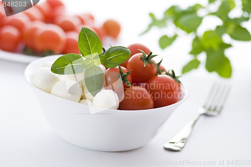 Image of Salad