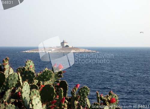 Image of Island in Croatia