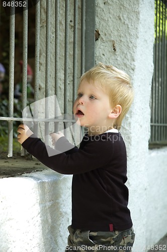 Image of Small boy looking amazed