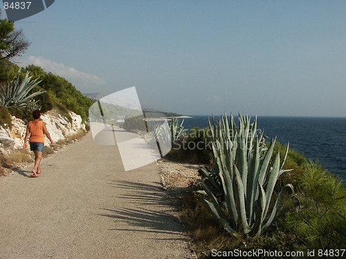 Image of Walk at the coast