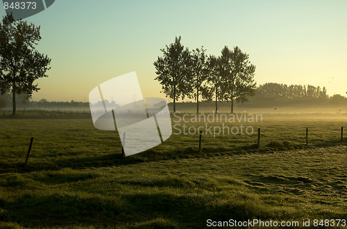 Image of Morning Landscape