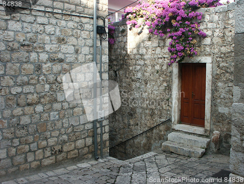 Image of Wall with flowers