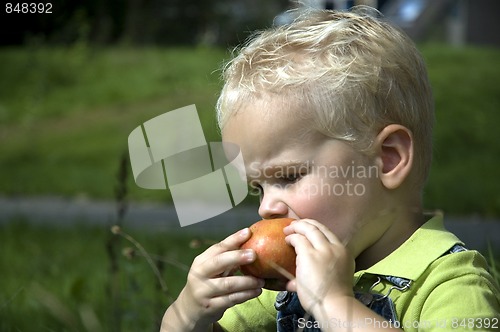 Image of Taking a bite -2