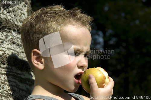 Image of Going to eat an apple