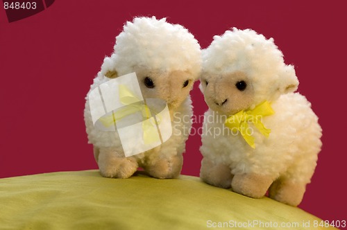 Image of 2 Toy Sheep In Spring