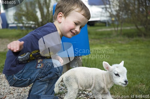 Image of Little boy and little sheep