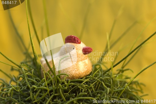 Image of One Relaxed Chicken